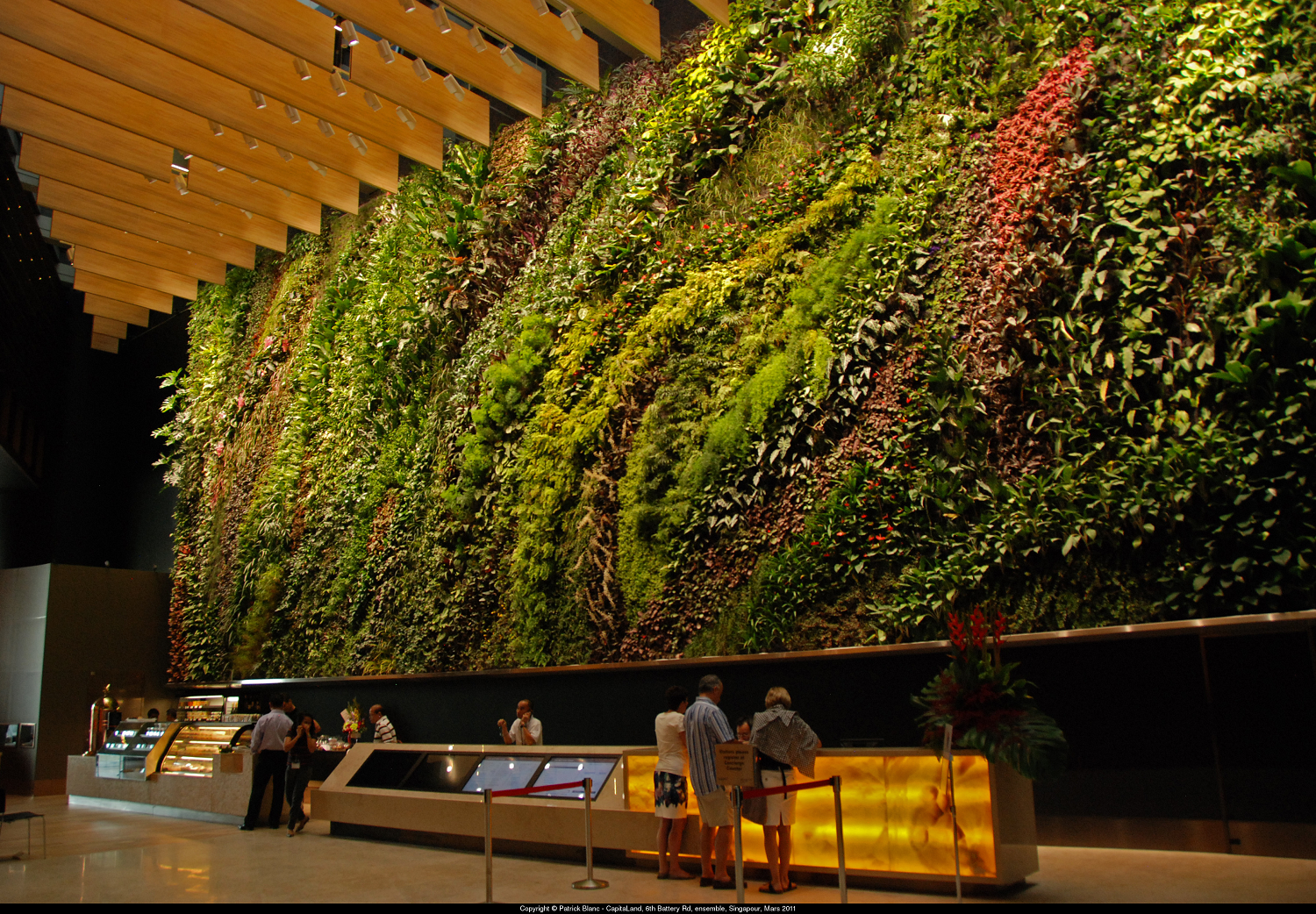 Giardino Verticale Innovativo